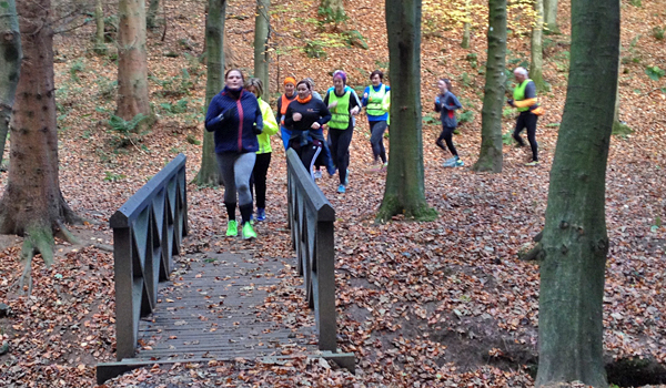 photo of runners in woods